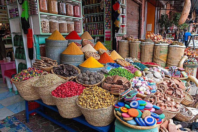 Day Trips from Agadir to Marrakech with Amazing guide - The quirky roadside moments: goats up a tree and the fun in transit