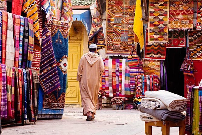 Day Trips from Agadir to Marrakech with Amazing guide - Group size, guide quality, and language expectations