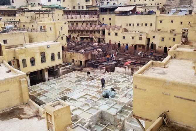 Day visit guided in fez - Making Fez Feel Understandable, Not Random