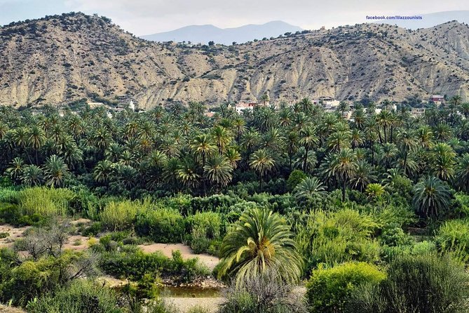Days 2 / 1 Night In Sahara Desert From Fez To Fez ( Luxury ) - Price and value: is $513.85 a fair deal?