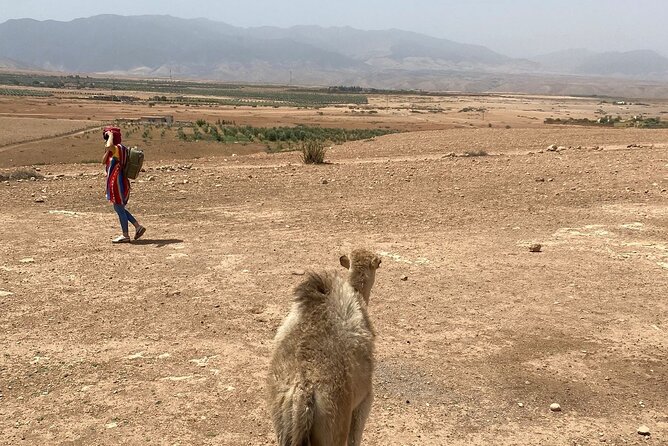 Desert Agafay and Atlas Mountains Day Tour & Camel ride From Marrakech - The real schedule: start at 9:00, but expect a full day