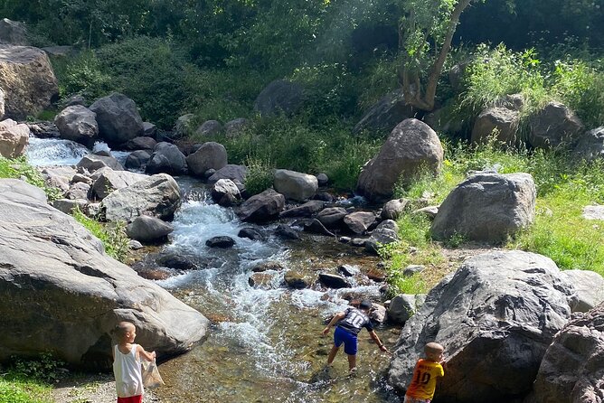 Desert Agafay and Atlas Mountains Day Tour & Camel ride From Marrakech - Comfort and small-group attention (the stuff that makes the day feel easy)