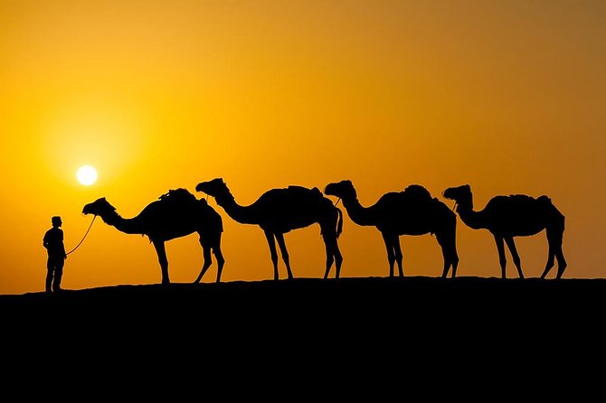 Desert Agafay And Atlas Mountains & Waterfalls Day Trip from Marrakech - Your guide and the small-group advantage (why max 10 matters)