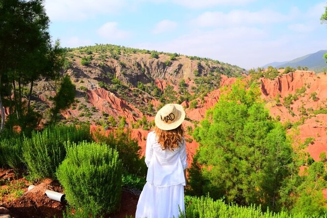 Desert Agafay And Atlas Mountains & Waterfalls Day Trip from Marrakech - Timing and logistics: how to make the most of a 7–8 hour day
