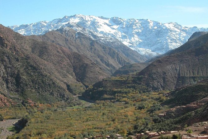 Desert Agafay & Atlas Mountains Day Trip from Marrakech (Min.2 p) - Tea with a Berber family: where the day turns personal