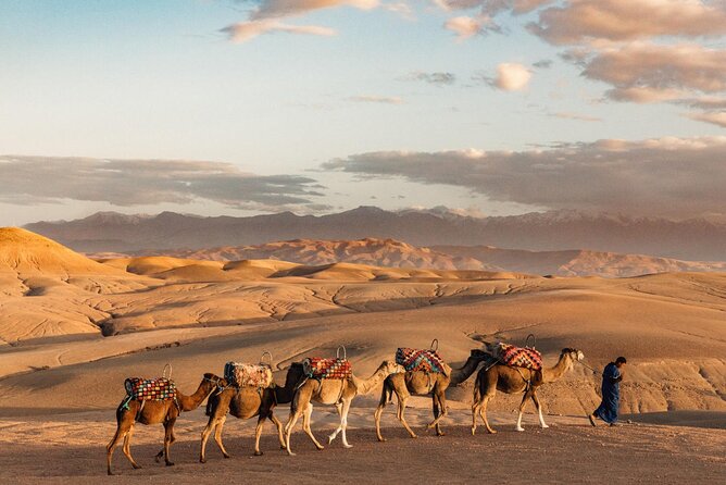 Desert Agafay Dinner Show and Camel Ride with Magical view - Marrakech to Agafay: the 4 pm Timing That Actually Works