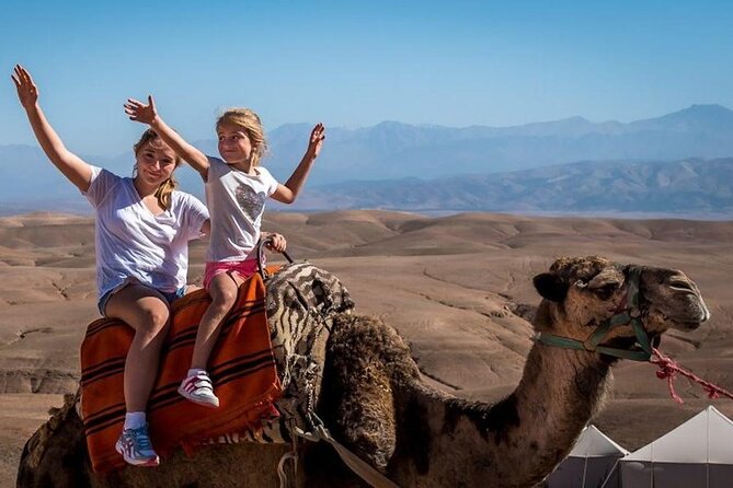 Desert Agafay Dinner Show and Camel Ride with Magical view - Price and Value: Is $81.43 a Fair Deal?