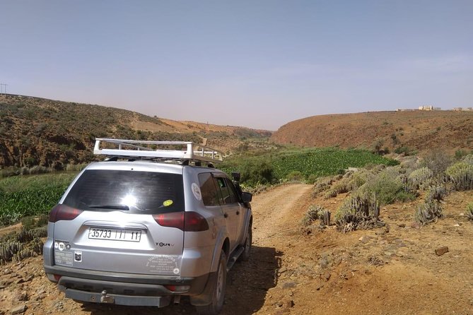 Desert and Ocean Private Day Tour - Souss-Massa National Park: a quick river pause with real purpose