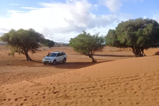 Desert and Ocean Private Day Tour - Getting to the beach by rough road: the day’s wild-card