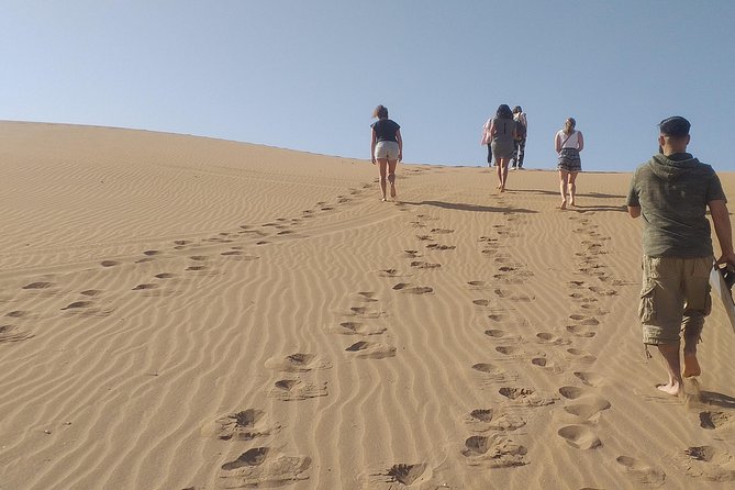 Desert and Wild Beach Day Trip with Meal - Key Things I’d Book This Tour For