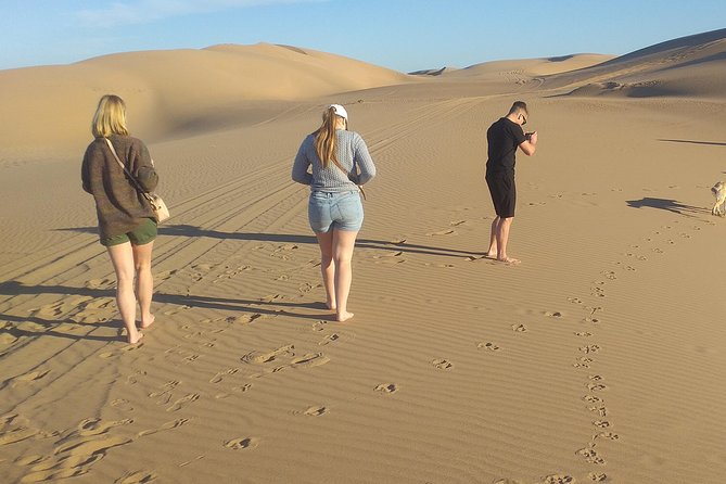 Desert and Wild Beach Day Trip with Meal - 4x4 Coastal Track: The Part That Makes People Remember the Trip