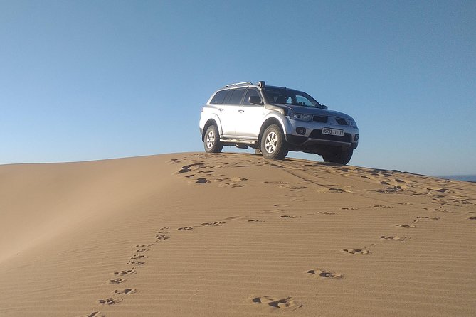 Desert and Wild Beach Day Trip with Meal - Youssef Dam Panoramas and a Small Desert Moment