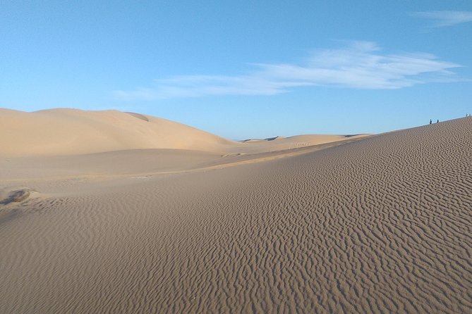 Desert and Wild Beach Day Trip with Meal - Lunch and Drinks: What’s Included, What’s Not, and How to Plan