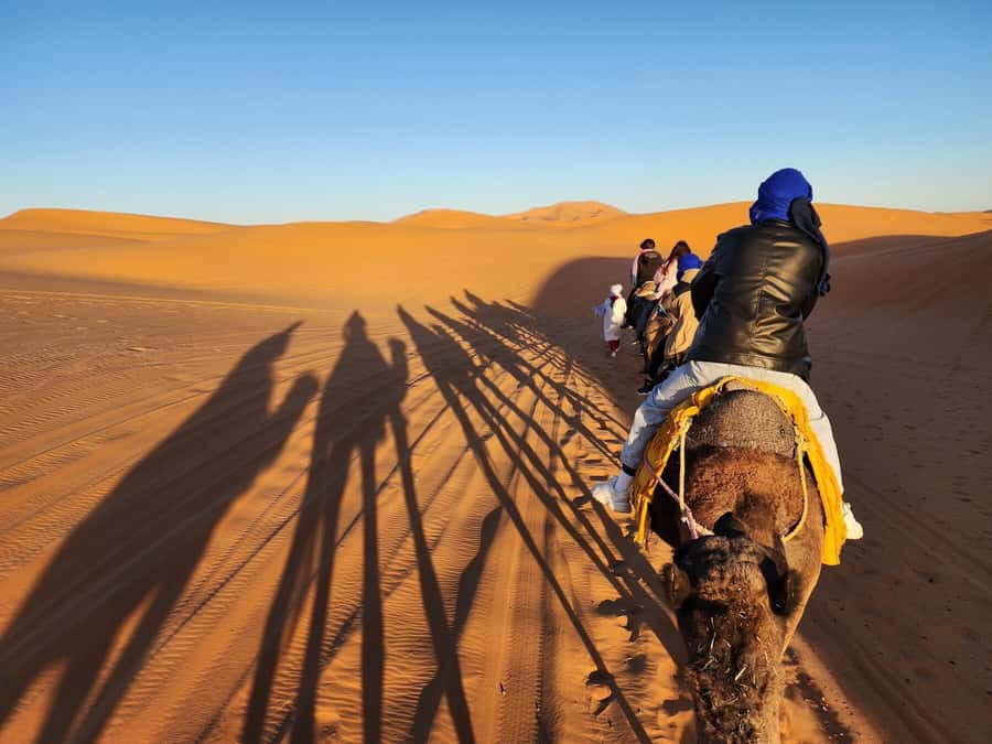 Desert Camp Overnight from Merzouga with Camel & Quad Bike - Who This Trip Suits Best (and Who Might Want a Different Option)