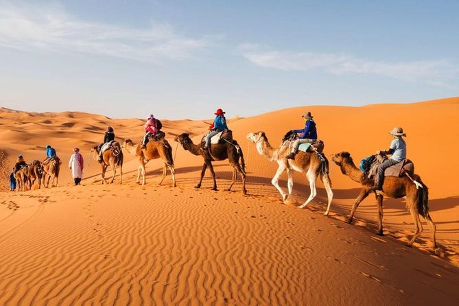 Desert Dreams Marrakech to Merzouga 3-Day Adventure - Day 1: Tizi n Tichka, Ait Ben Haddou, then Dades Valley dinner
