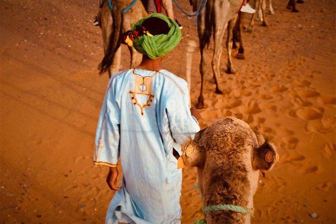 Desert Dreams Marrakech to Merzouga 3-Day Adventure - Day 2: Todgha Gorges, Erfoud approach, and Merzouga dunes at sunset