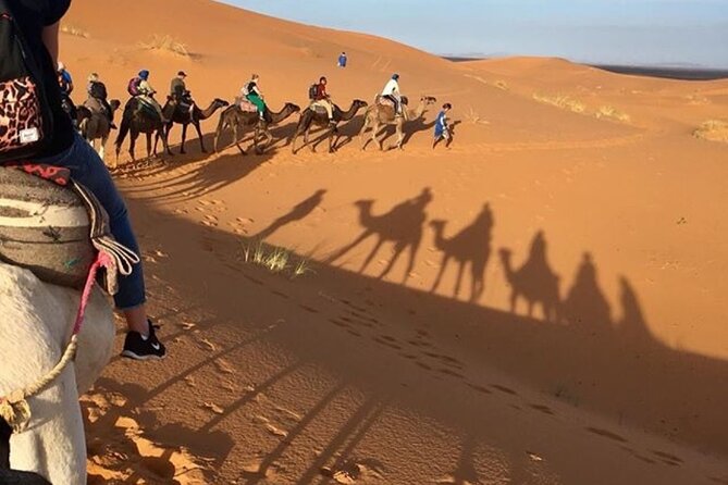 Desert excursion with camel trek into the camp Dinner breakfast - Key things that make this desert trek work