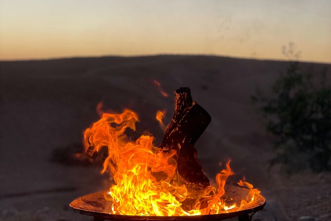 Desert Full Day: Quad, Camel, Dinner & Show or Pool Day and Lunch - Pool day at the desert camp: the downtime people actually enjoy