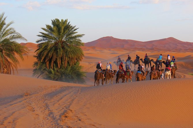 Desert Odyssey: A 2-Day Journey from Marrakech to Zagora - Who This Trip Is Best For (and Who Might Want a Different Plan)