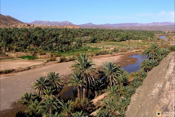 Desert Odyssey: A 2-Day Journey from Marrakech to Zagora - The Desert Camp Night: Dinner, Basic Comfort, and Real Desert Time