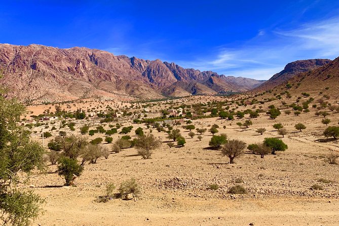 Desert tour 3 days from Fes to Marrakech - Ait Benhaddou and the Rose Valley: UNESCO and a scent you can’t un-smell