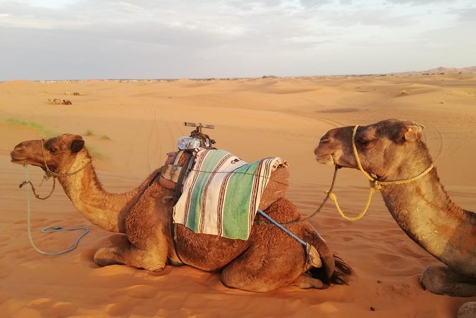 Desert Trip from Fes to Fes via Merzougua (2days,1night) - Entering the loop: pickup, drive time, and how the pace feels