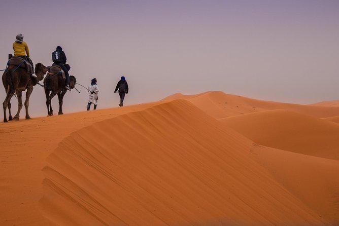 Desert Trip from Fes to Fes via Merzougua (2days,1night) - Ziz Valley at Ziz Canyon: the oasis-style pause