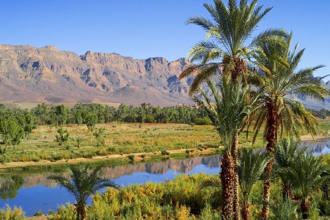 désert trip to merzouga dunes from marrakech - Who Should Book This Desert-to-Merzouga Trip