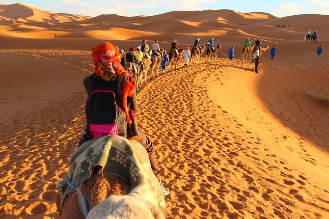 Desert Trip:Fès-Merzouga(1 Night)-Ouarzazat(1 Night)-Marrakech - The “warm-up” stops: Ifrane, Cedar Forest monkeys, and Middle Atlas photos