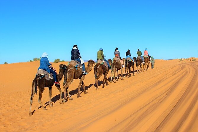 Desert Trip:Fès-Merzouga(1 Night)-Ouarzazat(1 Night)-Marrakech - Todgha Gorge and El Kelaa M’gouna: a nature break plus rose co-op culture
