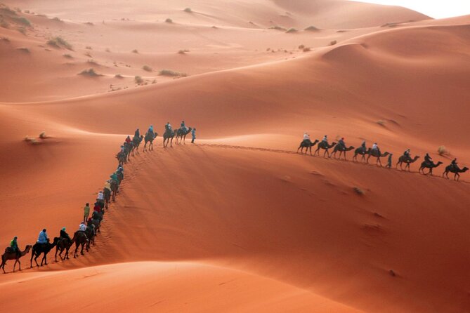 Desert Trip:Fès-Merzouga(1 Night)-Ouarzazat(1 Night)-Marrakech - Meeting at Bab Boujloud in Fez, then getting rolling without stress