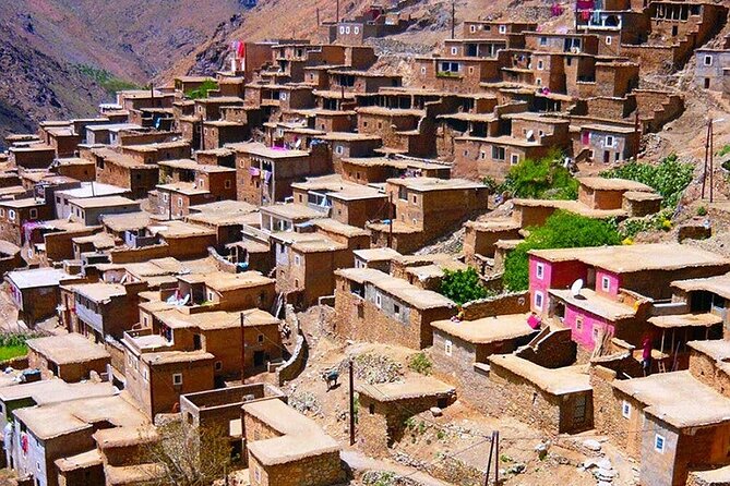 Desret Agafay and Atlas Mountains & Camel ride Day Trip From Marrakech - Price and Timing: Is This Good Value for a 7-Hour Marrakech Day?