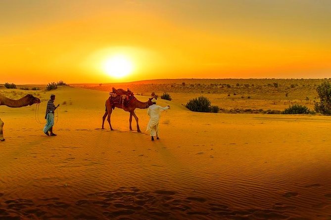 Dinner at Sunset & Camel ride in Marrakech desert Agafa - Dinner by the bonfire: three courses, stars overhead