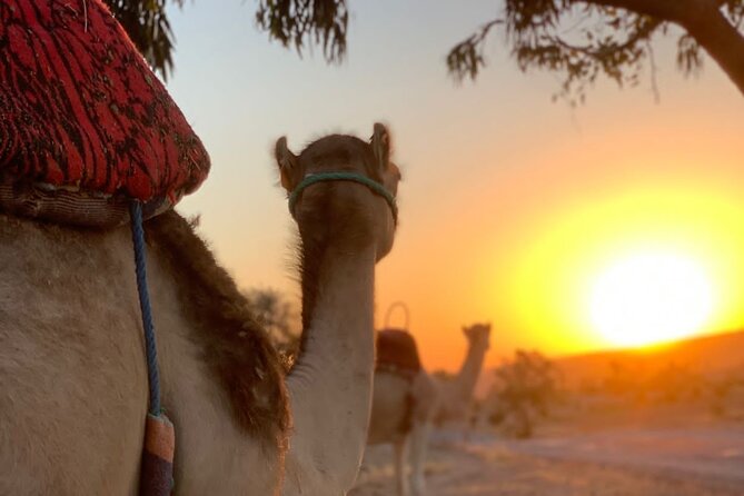Dinner in Agafay Desert ,Sunset Camel Ride, Fire Show - The Traditional Camp Dinner and Mint Tea: More Than Just Food