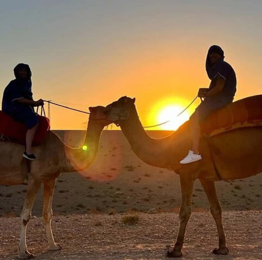 DINNER IN AGAFAY DESERT UNDER THE STARS WITH SHOW AND CAMELS - Marrakech Pickup and the Ride in Air-Conditioned Comfort