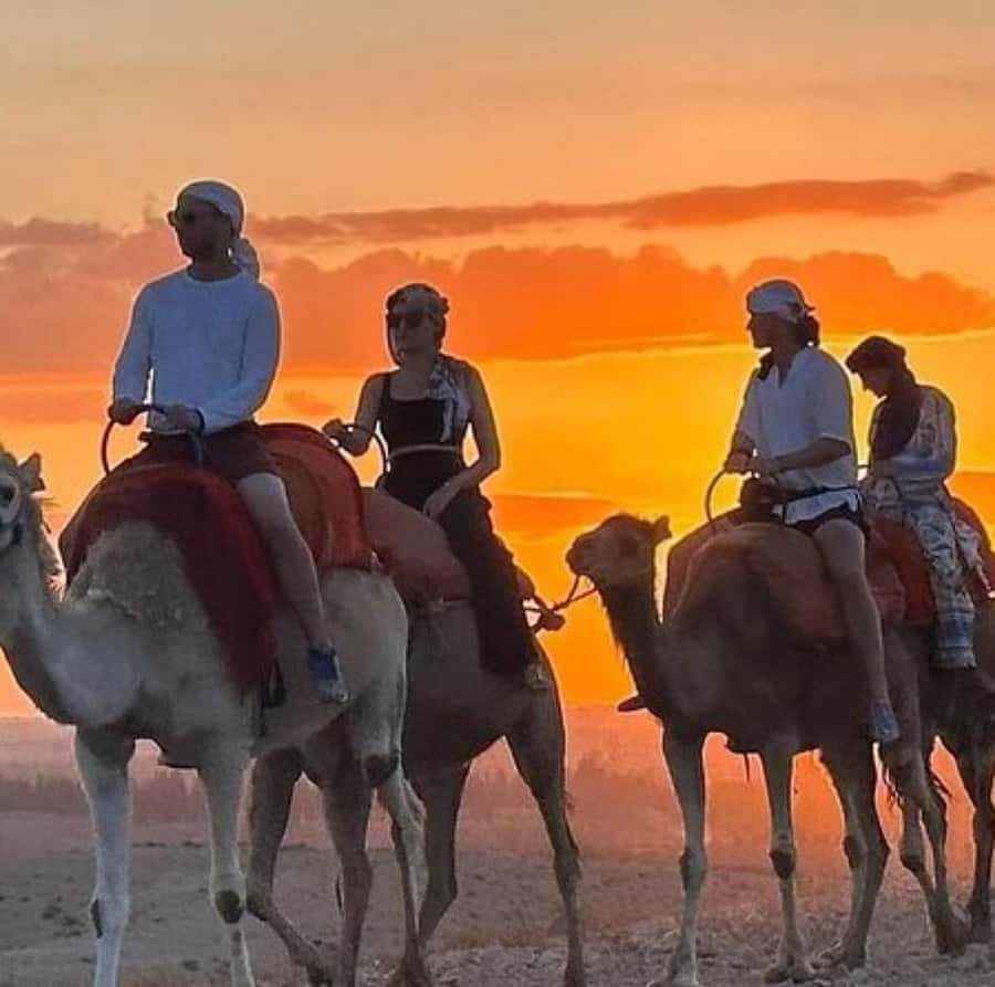 DINNER IN AGAFAY DESERT UNDER THE STARS WITH SHOW AND CAMELS - FAQ
