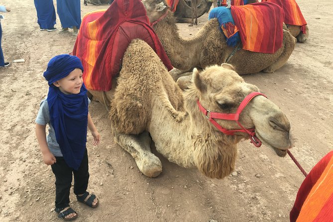 Dinner show and Sunset Camel riding Agafay desert - Dinner in the Desert: Berber Food, Campfire Music, and Big-Sky Moments