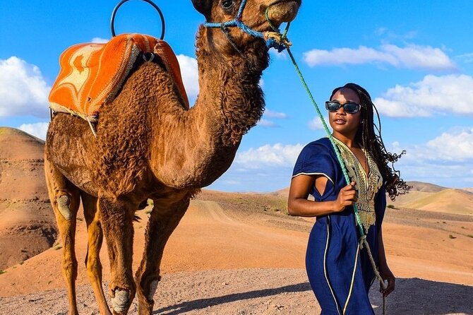 Dinner Show & camel ride with sunset views - Group Size, Guide Style, and Family-Friendly Rhythm