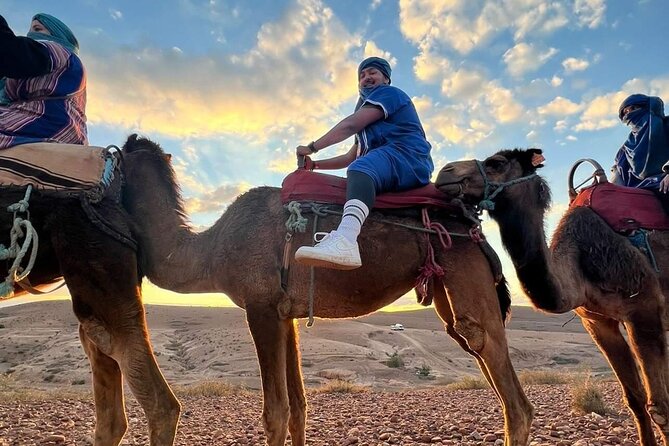 Dinner Show & camel ride with sunset views - Should You Bring Your Own Expectations?