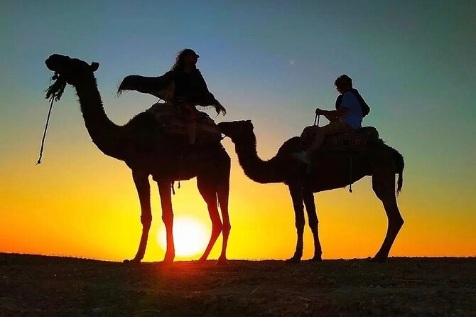 Dinner Under the Stars Desert Agafay & Sunset Camel Ride - Why Agafay Beats a Far-Sahara Detour for Sunset
