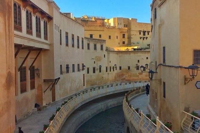 Discover Fes with the Best -Authentic Tours Unforgettable Stories - Chouara Tannery: seeing traditional leather work at street level
