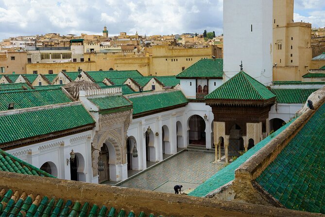 Discover Fez and it’s hidden secrets with a local - Chouara Tannery: a famous stop with a real sensory punch