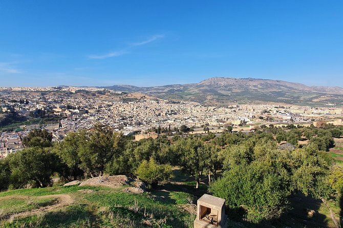 Discover Fez with a local - Why a private guide makes the difference here