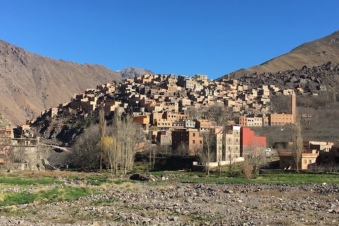 Discover Ourika valley differently in a day trip From Marrakech - Price and value: why $82.41 can work if you want the whole day