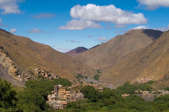 Discover Ourika valley differently in a day trip From Marrakech - Ourika Valley: where the colors and trees do the talking