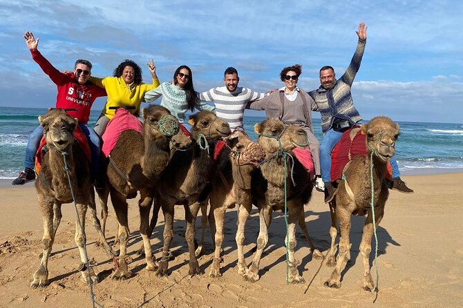 Discover Tangier in a Full Day Tour with Camel ride - Why This Private Tangier Day Works So Well