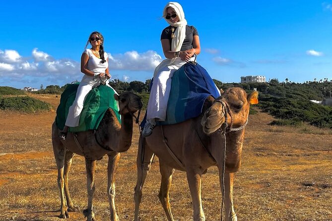 Discover Tangier in a Full Day Tour with Camel ride - Parc Perdicaris and Cap Spartel: Quick Stops, Great Angles