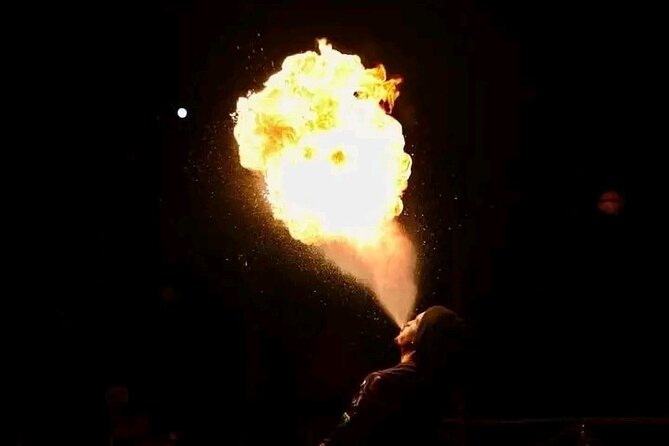 Discover the Agafay Desert: Quad, camel, dinner & show - Who should book this Agafay quad, camel, dinner & show?