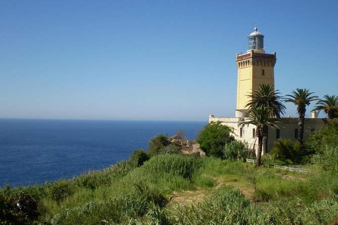 Discover the hidden gims of Tangier - JC Private Tours Tangier - Medina of Tangier on foot: Soccos, gardens, and markets with context