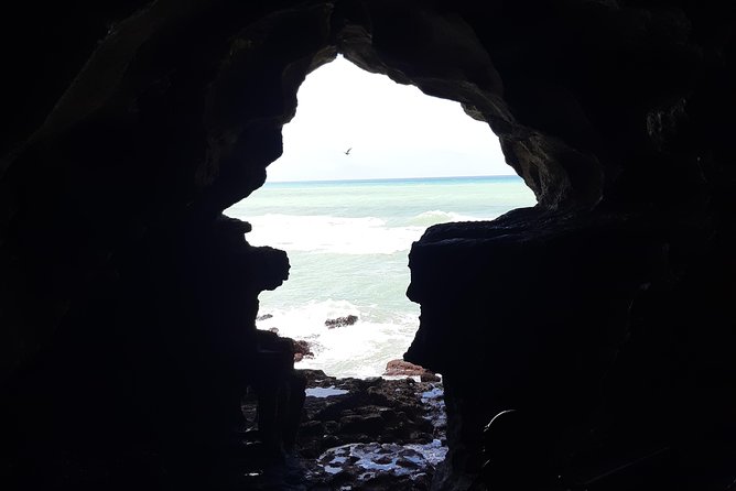 Discover the hidden gims of Tangier - JC Private Tours Tangier - Camel ride time: a classic add-on you can plan around